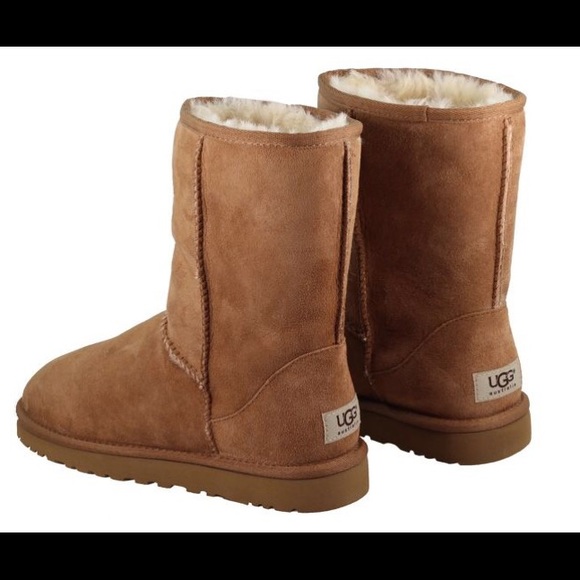 short chestnut uggs cheap short chestnut uggs cheap